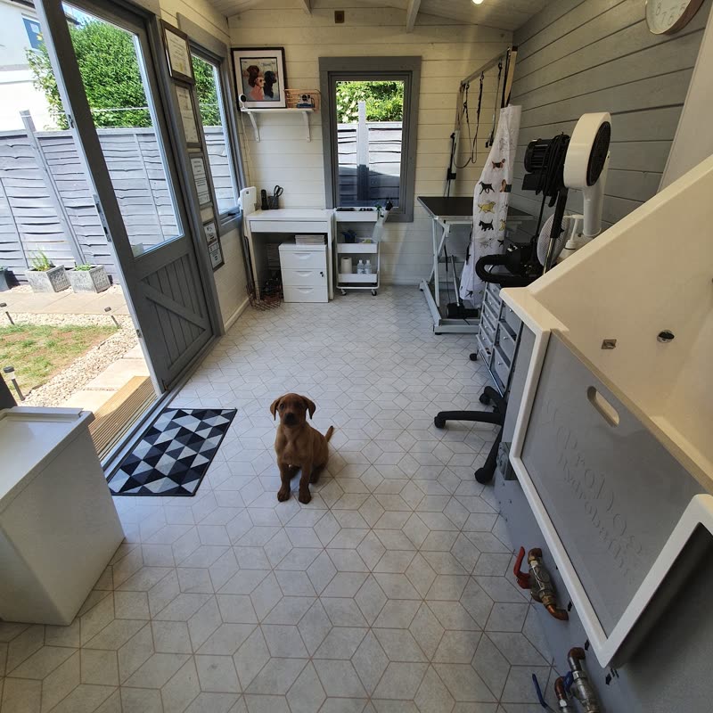 The grooming room at 9 Scotgate seen from the doorway, with a small brown puppy on the tiled floor between the bath, table and dryer, and the stable door open to the garden